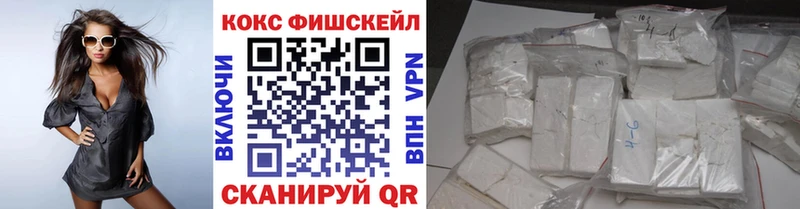 Купить  Камбарка  КОКАИН Fish Scale 