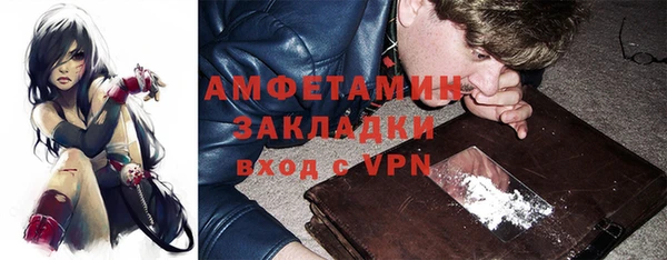 прущие грибы Инсар