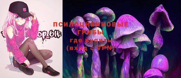 МДПВ Зеленодольск