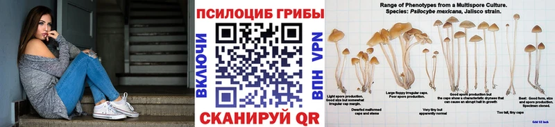 Галлюциногенные грибы ЛСД  Купить где  Камбарка 